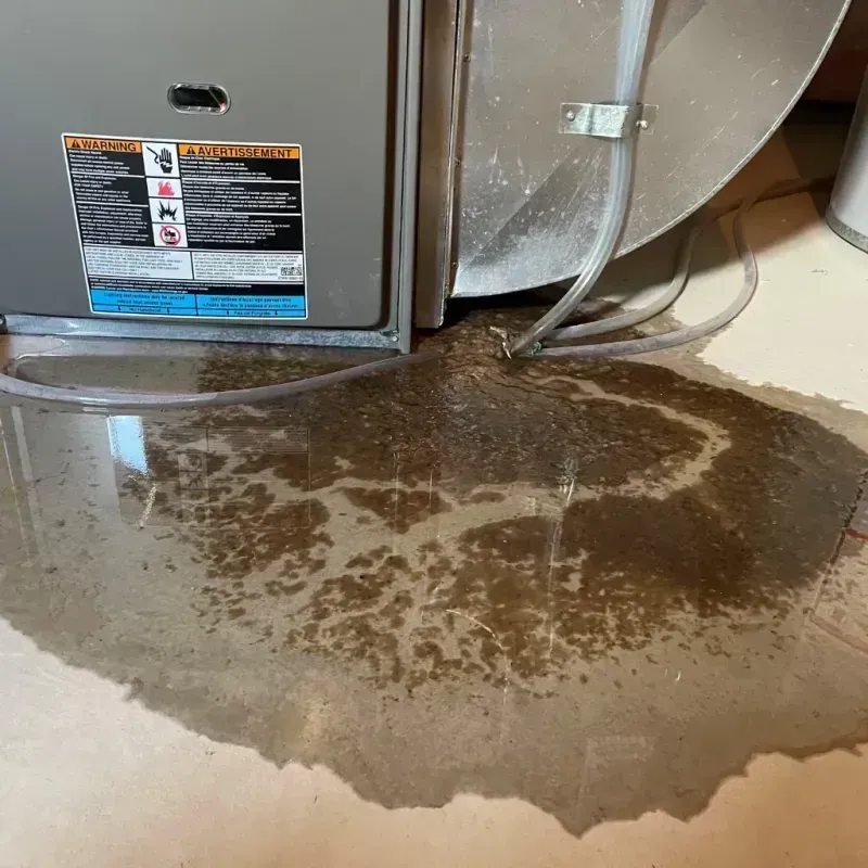 Appliance Leak Cleanup in Morgan County, IN